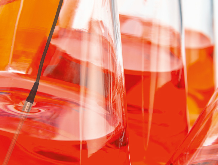 PT 100 reference sensor in Erlenmeyer flask - Sterilization PT 100 reference sensor in Erlenmeyer flask - Sterilization