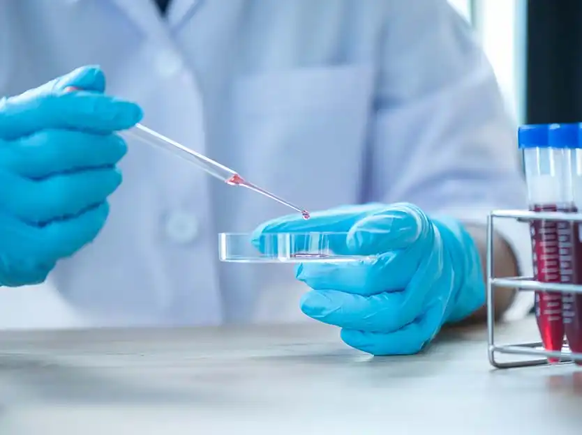 الصورة: AlexPhototest | stock.adobe.com