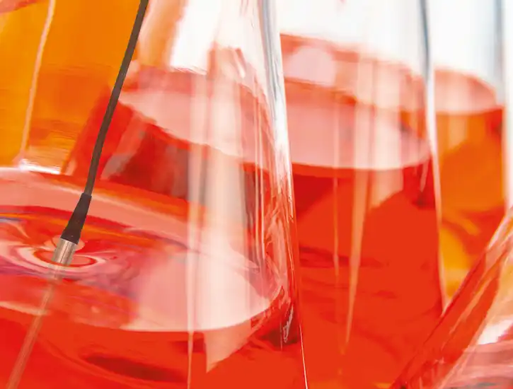 مستشعر مرجعي PT 100 في قارورة إرلنماير - تعقيم مستشعر مرجعي PT 100 في قارورة إرلنماير - تعقيم