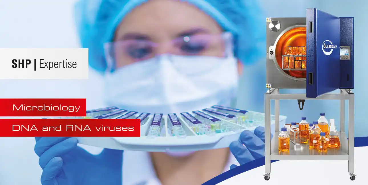 فيروسات الحمض النووي (DNA) والحمض النووي الريبوزي (RNA)