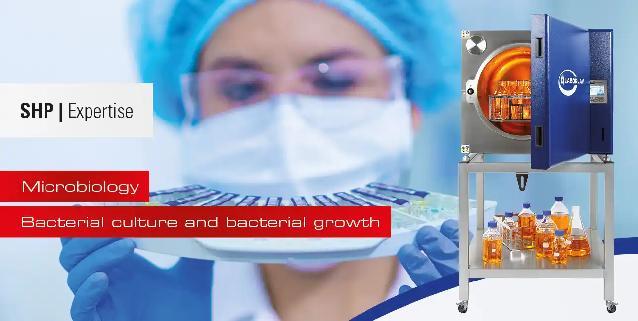 ثقافة البكتيريا ونمو البكتيريا